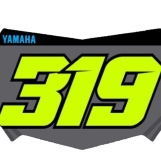 319 Decal